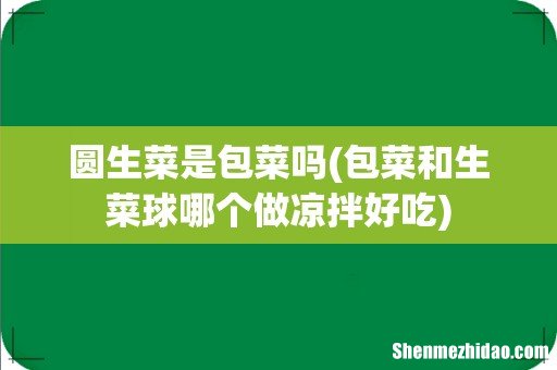 包菜和生菜球哪个做凉拌好吃 圆生菜是包菜吗