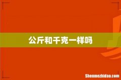 公斤和千克一样吗