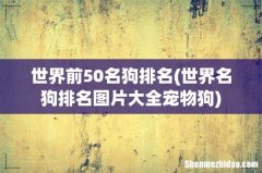 世界名狗排名图片大全宠物狗 世界前50名狗排名