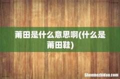 什么是莆田鞋 莆田是什么意思啊