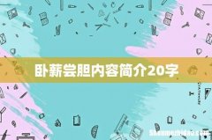 卧薪尝胆内容简介20字