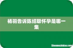 杨羽告诉陈绍聪怀孕是哪一集