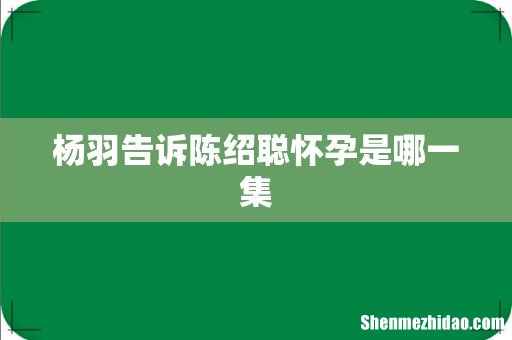 杨羽告诉陈绍聪怀孕是哪一集