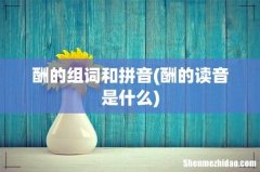 酬的读音是什么 酬的组词和拼音