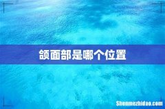 颌面部是哪个位置