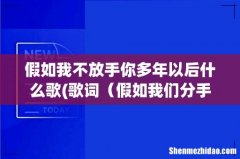 歌词 是什么歌- 假如我们分手 多年以后 假如我不放手你多年以后什么歌