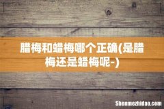 是腊梅还是蜡梅呢- 腊梅和蜡梅哪个正确