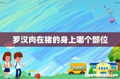 罗汉肉在猪的身上哪个部位