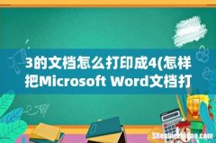 怎样把Microsoft Word文档打印时，一页会成四页？ 上、下、左右 3的文档怎么打印成4