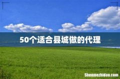 50个适合县城做的代理