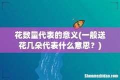 一般送花几朵代表什么意思？ 花数量代表的意义