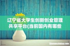 当前国内有哪些支持创业的政策-其中有哪些是支持大学生创业的- 辽宁省大学生创新创业管理
