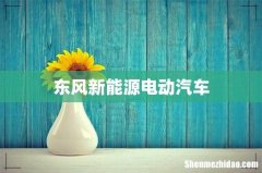 东风新能源电动汽车