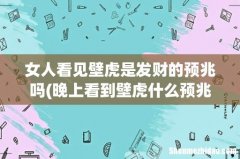 晚上看到壁虎什么预兆 女人看见壁虎是发财的预兆吗