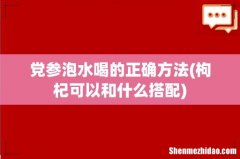 枸杞可以和什么搭配 党参泡水喝的正确方法