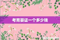 考育婴证一个多少钱