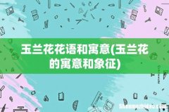 玉兰花的寓意和象征 玉兰花花语和寓意