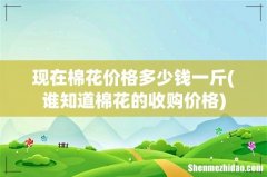 谁知道棉花的收购价格 现在棉花价格多少钱一斤