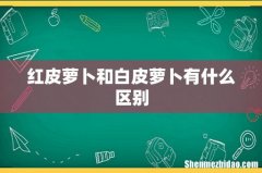 红皮萝卜和白皮萝卜有什么区别