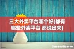 都有哪些外卖平台 都说出来 三大外卖平台哪个好