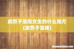 皮燕子是啥 皮燕子是指女生的什么地方