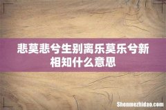 悲莫悲兮生别离乐莫乐兮新相知什么意思