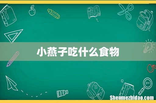 小燕子吃什么食物