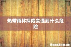 热带雨林探险会遇到什么危险