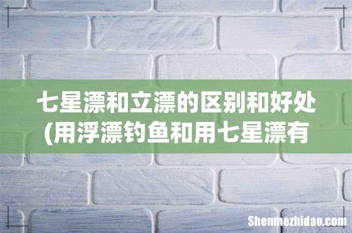 用浮漂钓鱼和用七星漂有什么区别啊? 七星漂和立漂的区别和好处