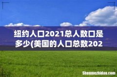 美国的人口总数2021是多少？ 纽约人口2021总人数口是多少