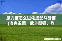 洛克王国，武斗酷猫，烈焰战神，怎么进化的，谁教我，什么条件 魔力猫怎么进化成武斗酷猫
