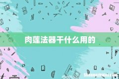 肉莲法器干什么用的
