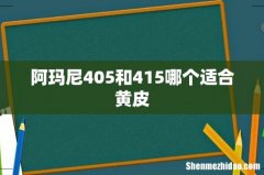阿玛尼405和415哪个适合黄皮
