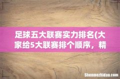 大家给5大联赛排个顺序，精彩度和实力。 足球五大联赛实力排名