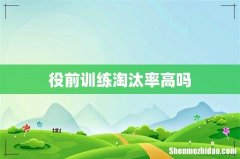 役前训练淘汰率高吗