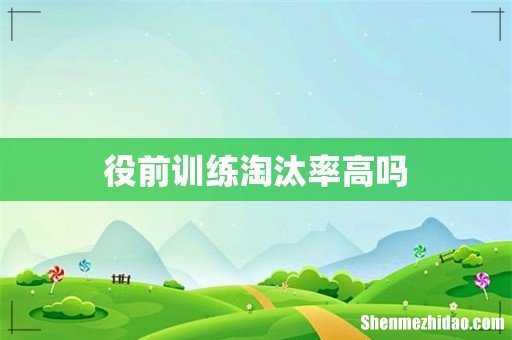 役前训练淘汰率高吗