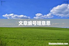 文章编号啥意思