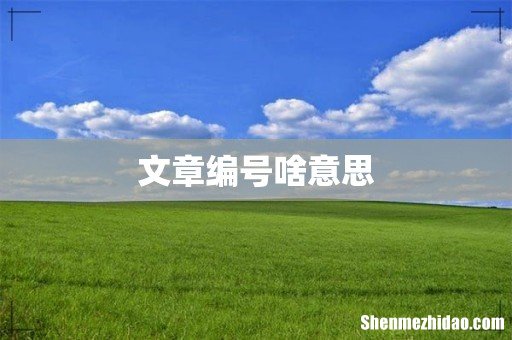 文章编号啥意思