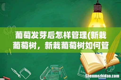 新栽葡萄树,新栽葡萄树如何管理呢? 葡萄发芽后怎样管理