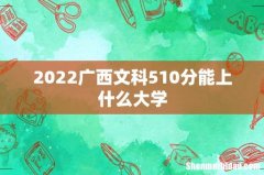 2022广西文科510分能上什么大学