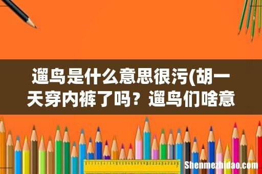 胡一天穿内裤了吗?遛鸟们啥意思? 遛鸟是什么意思很污
