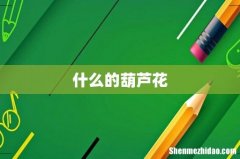 什么的葫芦花