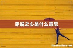 赤诚之心是什么意思