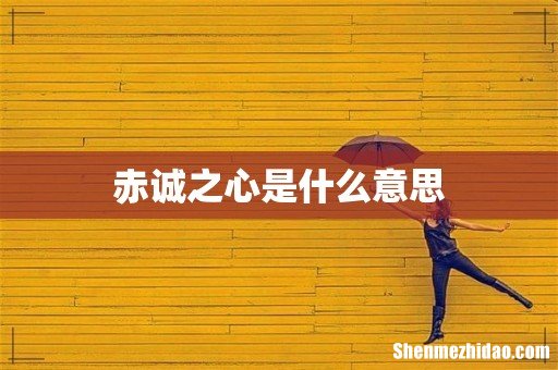 赤诚之心是什么意思