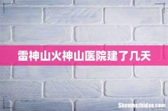 雷神山火神山医院建了几天