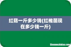 红椎菌现在多少钱一斤 红菇一斤多少钱