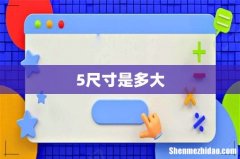 5尺寸是多大
