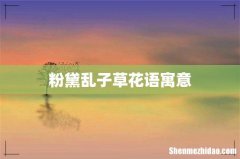 粉黛乱子草花语寓意
