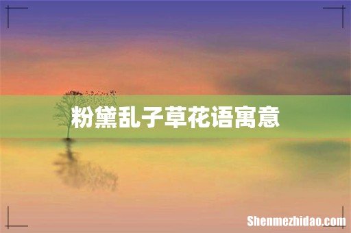 粉黛乱子草花语寓意