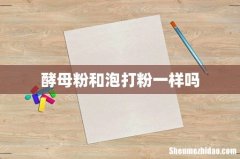 酵母粉和泡打粉一样吗